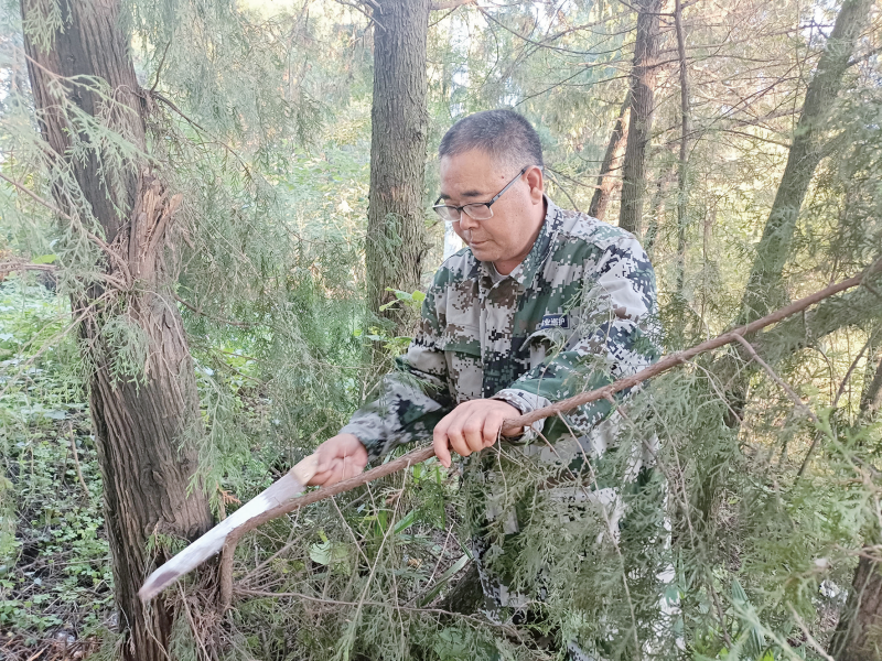 微信图片_2026-06-11_190538_555_副本.png