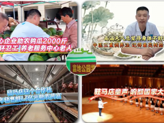 高温天气总觉得身体不舒服，中医三重调养法，记得看完转给家里人丨《今日驻马店》资讯第297期发布