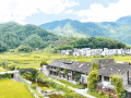 婺源民宿里的“乡愁经济学”