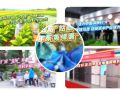 上蔡县“95后”姑娘，让千年茱萸绛囊“潮”起来｜《今日驻马店》资讯第322期发布