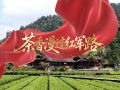 走好新时代长征路·奋斗组歌丨湖北恩施：茶香漫过红军路