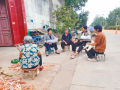 陈春荣：扎根乡土践初心