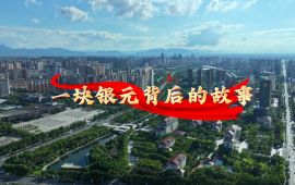 走好新时代长征路·奋斗组歌丨河南省驻马店市：一块银元背后的故事