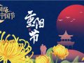 网络中国节·重阳