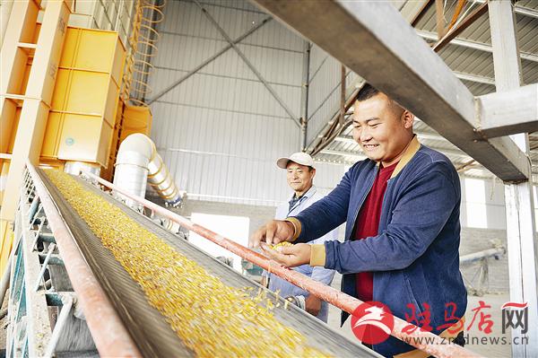 粮食烘干机成新宠(图2)