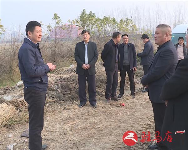 西平县领导到海棠园和万亩生态园进行调研